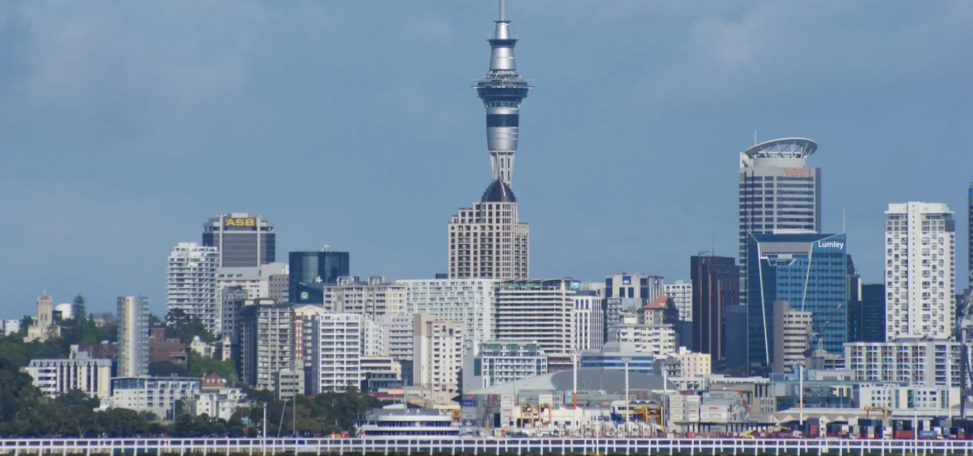 The Auckland city skyline with the Sky Tower rising above the central business district on a clear morning.